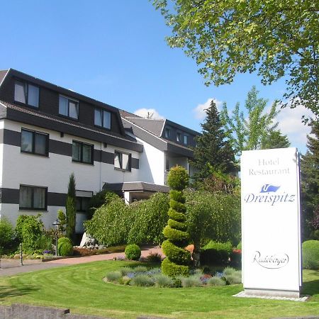 Dreispitz -B&B-Hotel Garni Hofheim am Taunus Exteriér fotografie